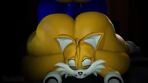 sonic the hedgehog, tails, tails the fox #31015